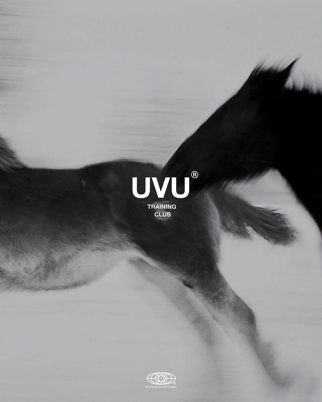 UVU Campaign art direction, campaign by Pure Studio